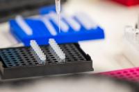 U.S. bans 3 Chinese biotech companies over forced labor