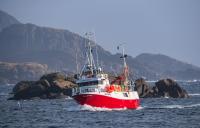 Global Fishing Watch and Ai2 announce another partnership to use AI in vessel tracking globally