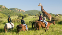 What is horse riding holiday insurance, and when do you need it?