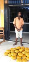 Tema Police arrest 52-year-old with 37 parcels of suspected Indian hemp