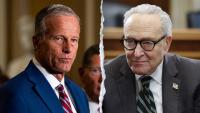 Schumer's Senate troubles mount as Dems reject leader, Thune hits trail to keep majority
