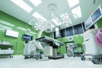 No place for patients: Ontario’s hallway health-care numbers hit new highs