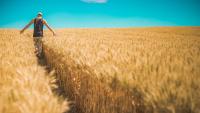 EU farm subsidy shake-up sparks fears for workers’ rights