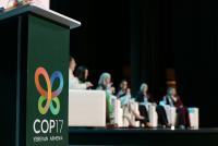 Nature funding falls for second year, putting global conservation bargain under strain at COP17