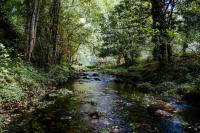 Poll: Iowans Support Higher Sales Tax to Protect Water Quality