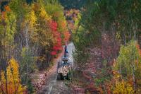 Maine Looks to Its Forests to Reach Climate Goals