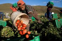 The Food Industry Is Rife With Worker Abuse