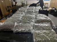 Around Eight Tons of Medical Cannabis Missing from Borisovo Company
