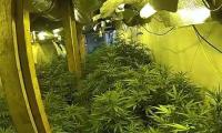 Two Albanians jailed after £500,000 cannabis farm hidden in underground bunkers straight out of Guy Ritchie's The Gentlemen are unearthed