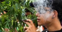 Young Iranians turn from opium to cannabis and meth