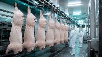 Dutch regulator blocks Zwanenberg acquisition of Unox
