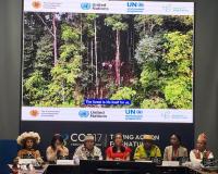 COP17 Celebrates Indigenous Leaders Amid Demand for Greater Inclusion in Biodiversity Decisions