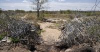 What border? This is what SA’s frontier with Zimbabwe looks like