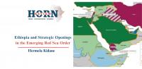 Ethiopia and Strategic Openings in the Emerging Red Sea Order