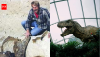 In 1987, an amateur fossil hunter found a T. rex in South Dakota; the $31.8 million skeleton now stands in Abu Dhabi