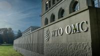 WTO members review, and note increasing resort to, safeguard actions