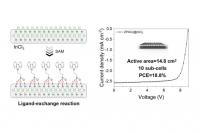 Researchers develop molecular locking strategy for organic solar cells