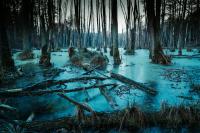 Louisiana's Terrifying Alligator Children - The Letiche