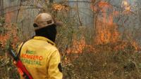 Artificial intelligence to prevent fires: a tool helps anticipate deforestation in Bolivia
