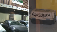 Lawsuit accuses Los Angeles animal rescue of running puppy laundering operation