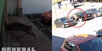 Deer bursts into North Carolina laundromat, knocks over woman in wild video