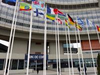 IUCN welcomes decision by UN Organized Crime Convention to…