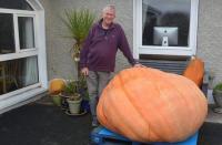 Ireland's largest pumpkin grown in Waterford
