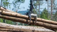 Global conference in Dublin hears demand for wood to rise by a third
