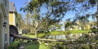 Does home insurance cover storm damage?