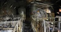 Explosion, fire at illegal North Carolina distillery leads to arrest