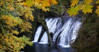 The brutal beauty of running a half marathon through Oregon’s waterfalls and muddy forest trails