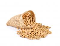 Farmers Continue Harvesting After Rainy September Delayed Season