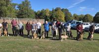 Social Walk returns to help German Shepherd Rescue