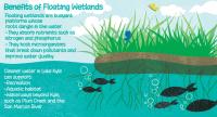 Texas State partners with Kyle to create floating wetland project
