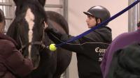 International athletes try adaptive sports at Park City's National Ability Center