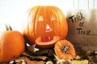 Rocky Horror Picture Show, Trick-or-Treat, Halloween at Trackside and live music | Lifestyle Lookout