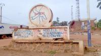 Chinese Group Considers CFA88 Billion Sugar and Rice Project in Eastern Cameroon