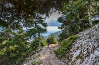 Greece Opens Accessible Forest Trail on Mount Parnitha