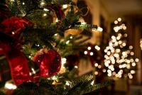 When Christmas decorating should begin in New Jersey