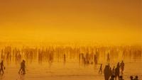Scientists warn 'collapse of civilisation most likely outcome'