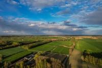 Removing Forever Chemicals from Farmlands Gets Easier with New Eco-Friendly, Affordable Method