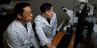 Indiana University-led bioscience accelerator programs advance next generation of healthcare