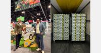 How a Mexican exporter is reorganizing its avocado shipments