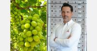 Early start and rainfall create uncertainty for Peru's grape season