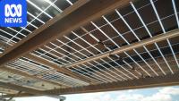 As farm fuel costs rise, clear solar might offer a solution