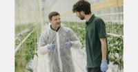 "We have the opportunity to become an important long-term source of Swedish-grown tomatoes"