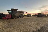 Sell high, then sell higher: A grain marketing strategy for managing risk
