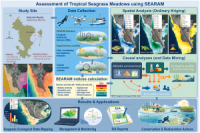 Unlocking spatial ecological assessment for tropical seagrass habitats using a new rapid assessment method (SEARAM)