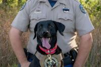 Vest donation protects CPW K9 Sage during conservation and public safety work
