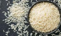 India Holds 40% Of Global Rice Market Despite Shipping Challenges